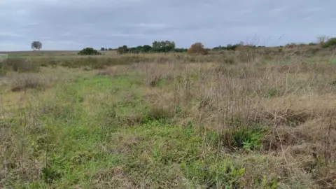 Terreno en Avenida de Puerto de Santa María