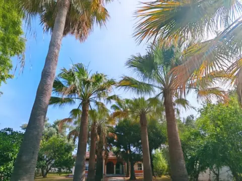 Chalet en Pinar de los Franceses - Marquesado