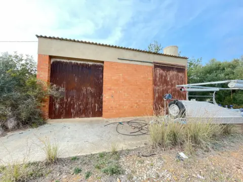 Terreno en calle Partida Teixells, nº 33