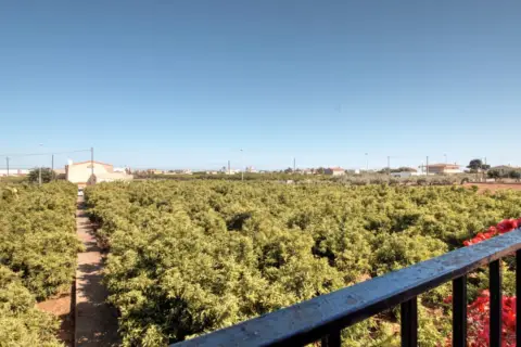 Finca rústica en calle Marrada, nº 189