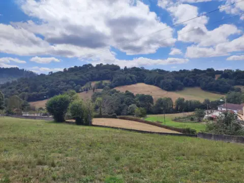 Terreno en calle Acebal S-N