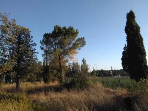 Terreno en Avenida de Montañana