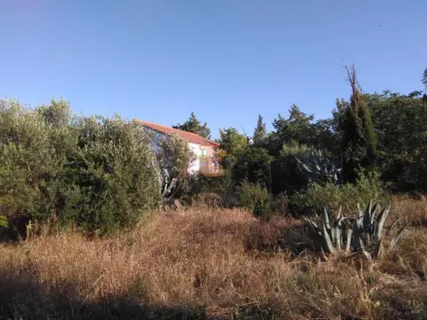 Terreno en Avenida de Montañana