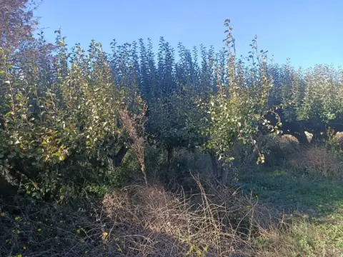 Finca rústica en Carretera San Millan