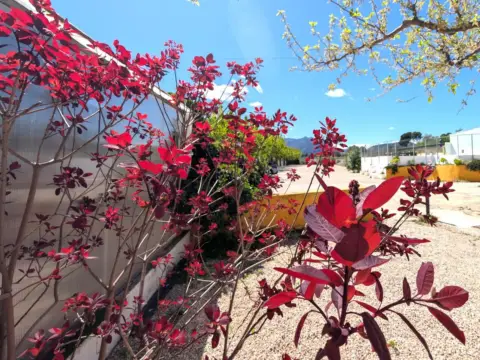 Chalet en Comunidad Valenciana