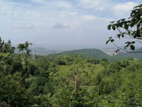 Terreno en Camino Borrokazelaieta