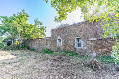 Casa en Forum