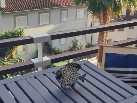 Estudio en Carrer de Manresa