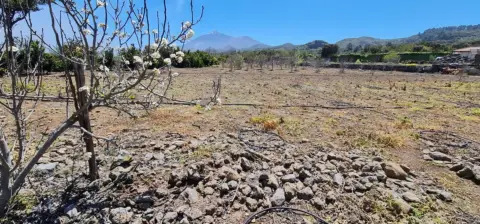 Finca rústica en El Tanque Arriba