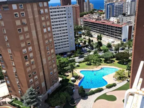 Piso en Avenida de Europa