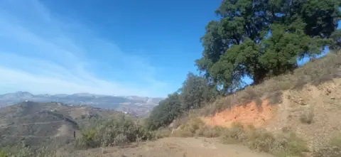 Terreno en Cta. Alfarnate