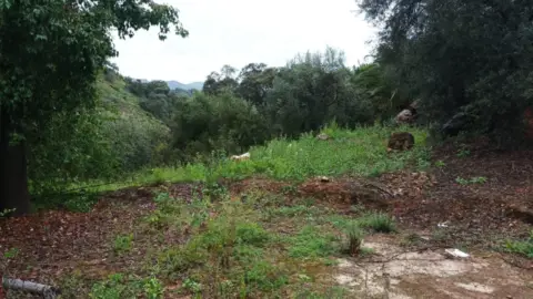 Casa en Arroyo Conca