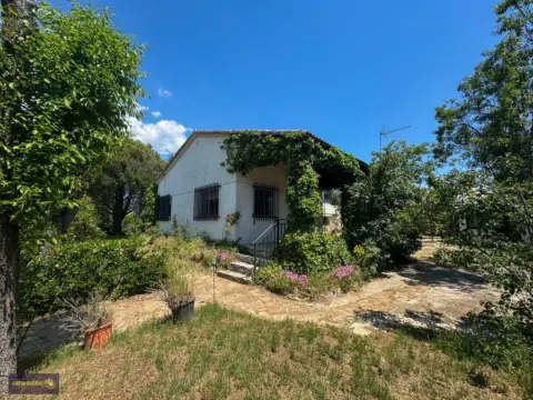 Chalet en calle Villavieja
