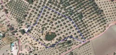 Terreno en calle Partido de Las Carboneras