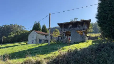 Finca rústica en calle Camín de Las Casas del Monte, nº 3