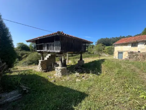 Finca rústica en calle Camín de Las Casas del Monte, nº 3