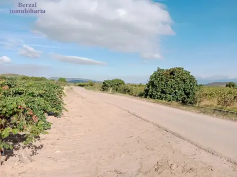 Terreno en calle Entrena