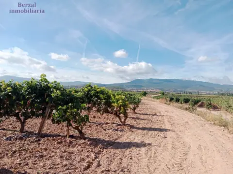 Terreno en calle Entrena