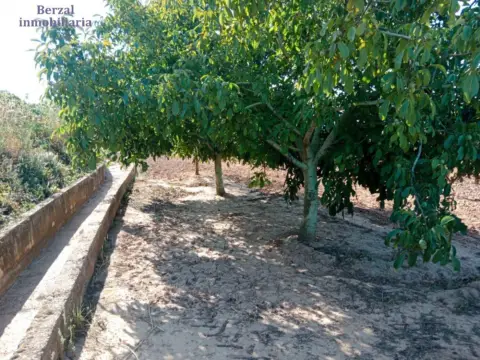 Terreno en calle Entrena