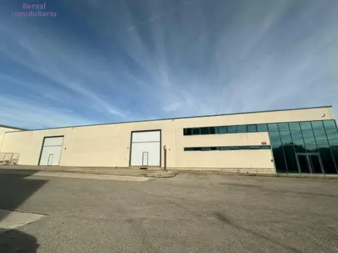 Nave industrial en calle Merida - Poligono Moreta