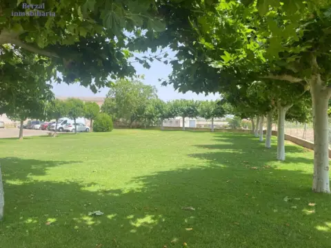 Estudio en Camino de Solana