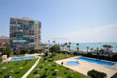 Estudio en Avenida Manuel Mena Palma