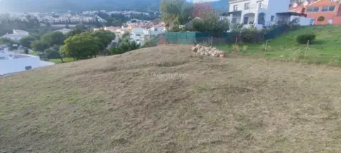 Terreno en Avenida de los Argonautas
