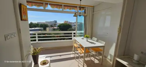 Piso en Avenida de Carlota Alessandri, 101