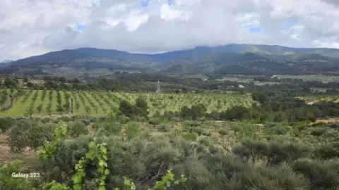 Casa en Torremanzanas