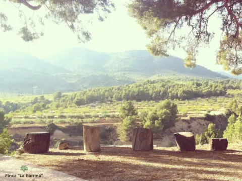 Casa en Torremanzanas