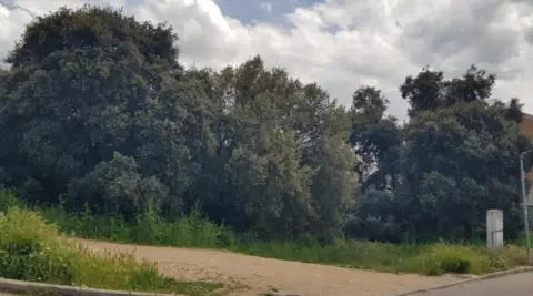 Terreno en Urb. El Bosque de Henares