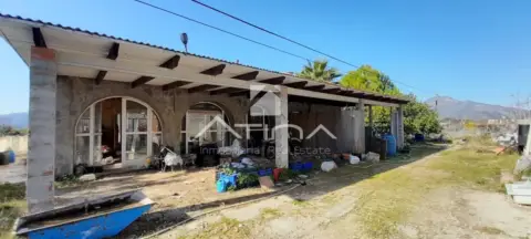 Chalet en Marxuquera