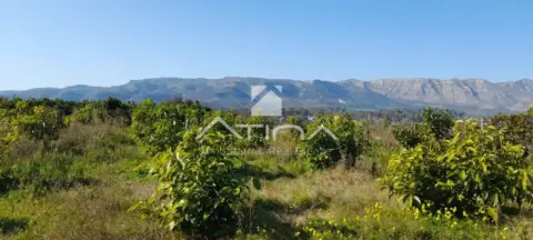 Chalet en Marxuquera