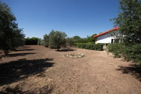 Finca rústica en Corella