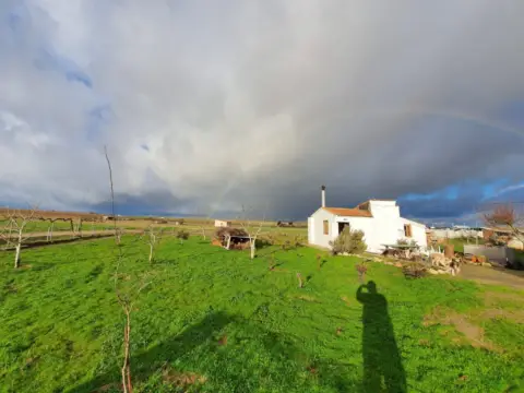Rural Property in El Perdigon