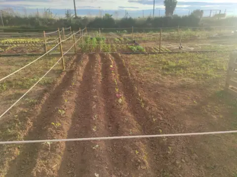 Terreno en Alaquàs