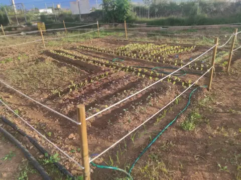 Terreno en Alaquàs