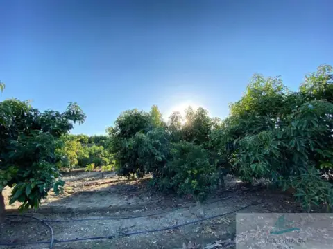 Finca rústica en Centro