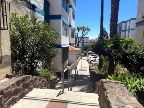Piso en Avenida del Cardonal