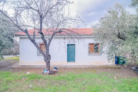 Terreno en calle Pinos Genil