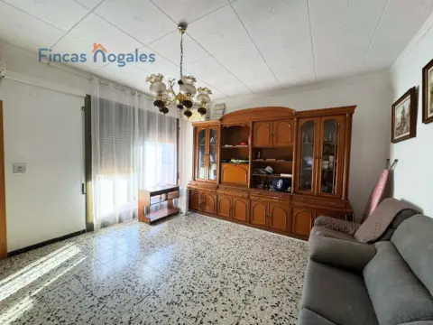 Casa adosada en Els Merinals