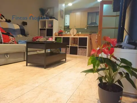 Piso en La Plana del Pintor
