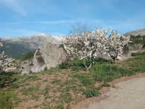 Terreno en calle 7V5W+87 0, 05415,