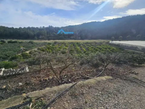 Finca rústica en Costa Blanca Norte