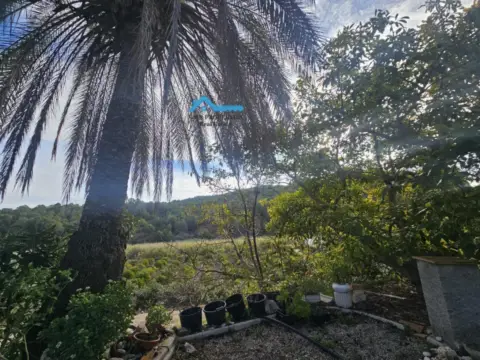 Finca rústica en Callosa D en Sarrià