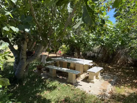 Chalet en calle Pago Hozanejos