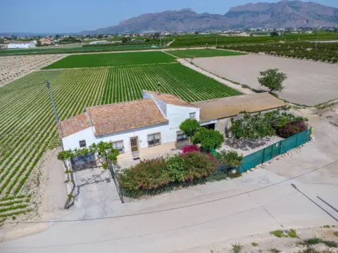 Finca rústica en Desamparados-Hurchillo-Torremendo