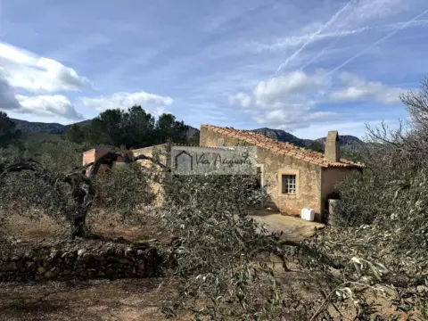 Finca rústica en calle Corral de Nages