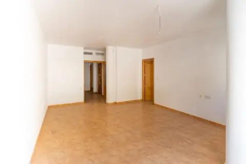 Piso en Avenida de Blanca, 10