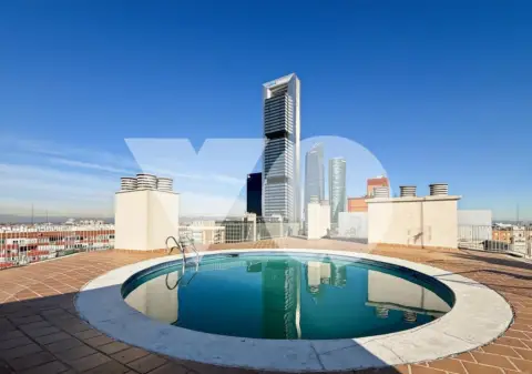 Piso en Paseo de la Castellana